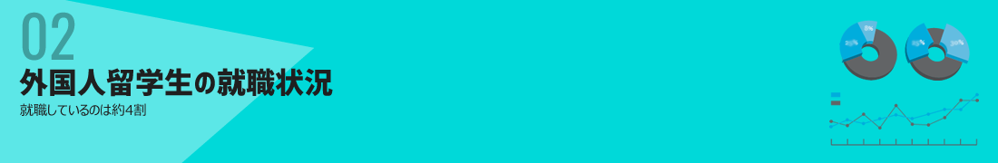 外国人留学生の就職状況